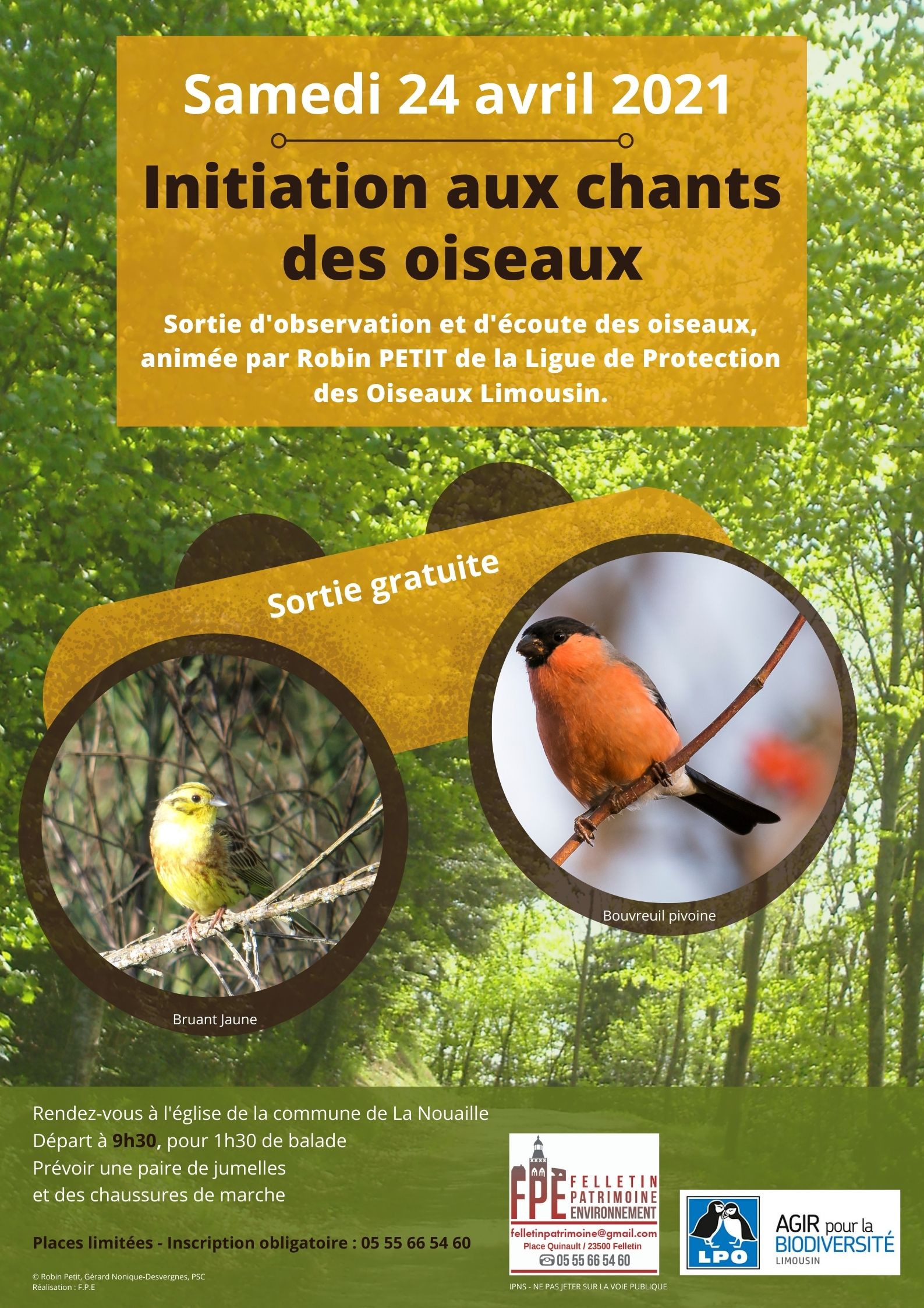 Observation et écoute des oiseaux